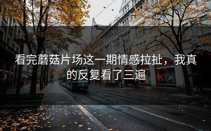 看完蘑菇片场这一期情感拉扯，我真的反复看了三遍